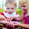 Hravé dopoledne pro rodiče s dětmi: Pozorování hmyzu